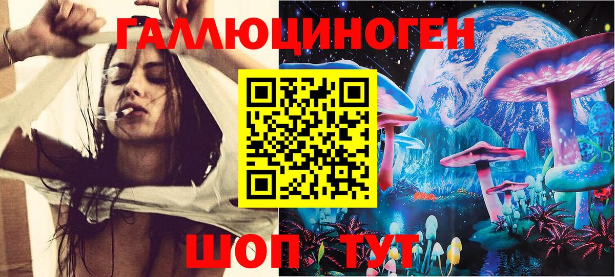 Галлюциногенные грибы Cubensis  Нерюнгри 