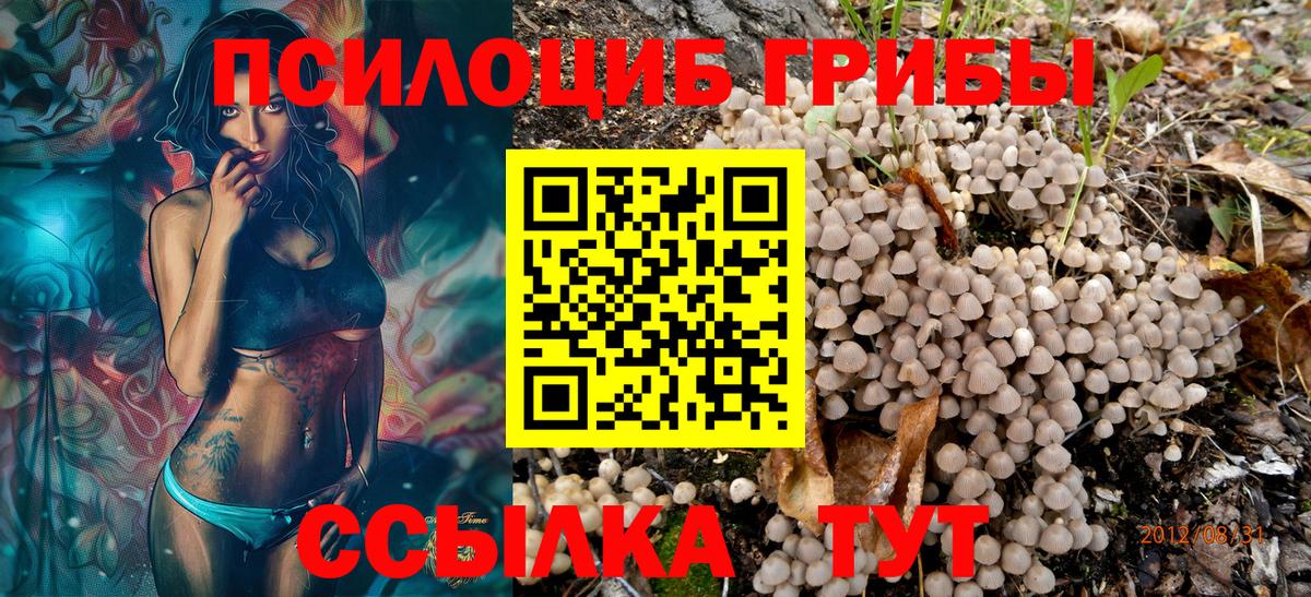 Псилоцибиновые грибы прущие грибы  Вход с VPN  Нерюнгри 