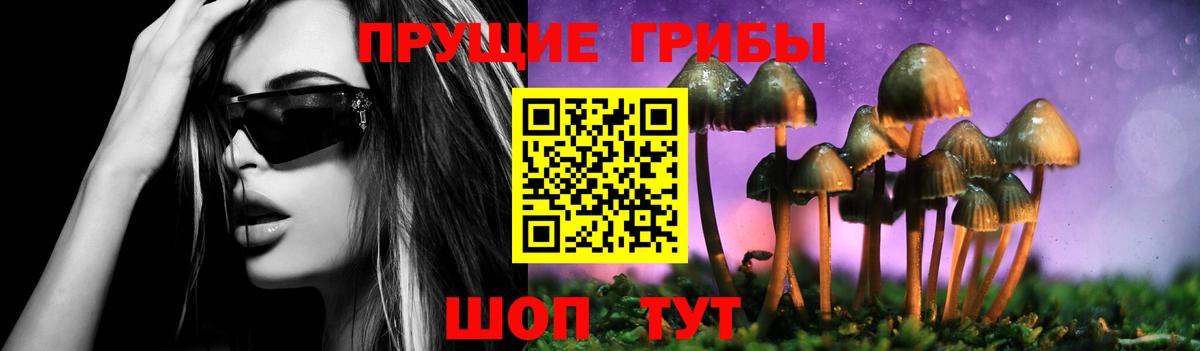 Псилоцибиновые грибы Magic Shrooms Нерюнгри